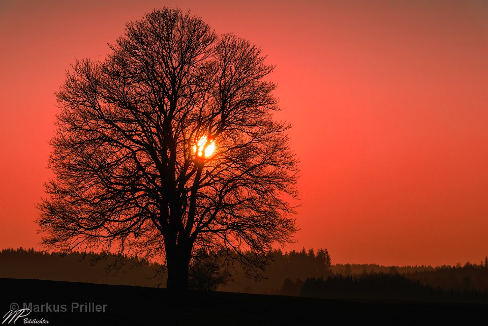 2014.03.07 184602 Sonnenuntergang Sachsenried 3000